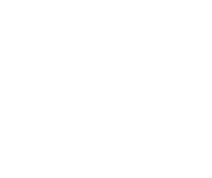 AI Accelerator Logo White