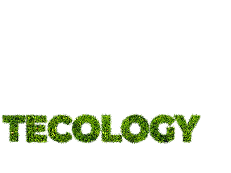 Meet the startups: Tecology